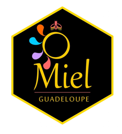 logo détouré